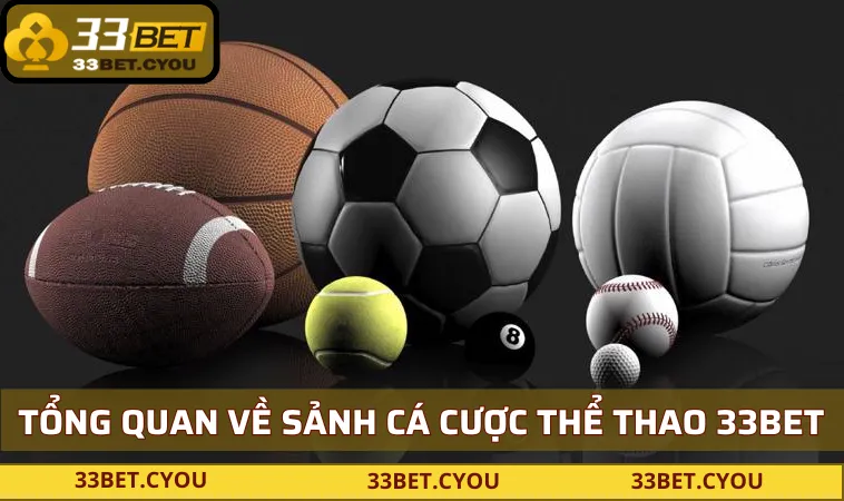 vai net ve san choi the thao 33bet Vài nét về sân chơi thể thao 33BET